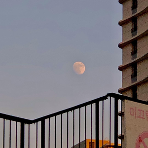 欧美国产巨大杨幂最新
